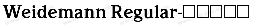 Weidemann Regular字体转换